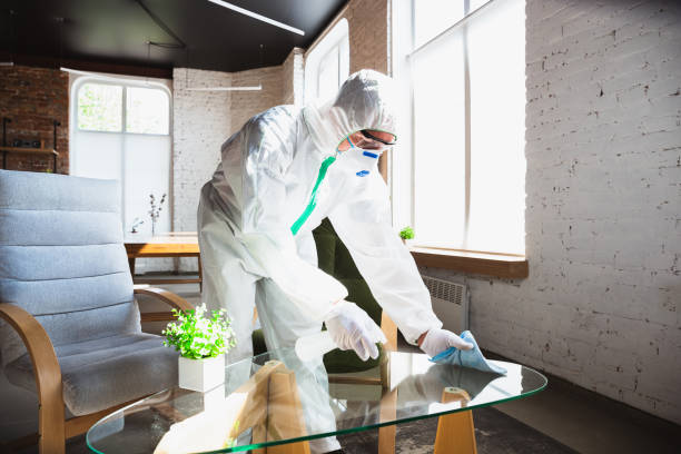 Reliable Bellefontaine, OH Mold Removal Solutions